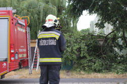 Katasztrófavédelem