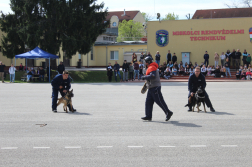 Kéklámpások napja
