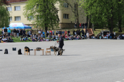 Kéklámpások napja